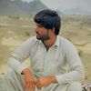 momtaz485