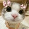 itzurgirl_eden