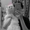 shakoorahmad214