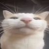 sillygoober99