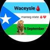 taliso.ina.hassan0