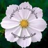 user5997440348615