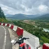 tuan.nhan31