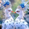 tahir8324