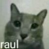 rngga.lmpu.neon