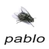 pabliniguzini
