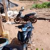 mxtoton11_