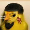 cuaz172