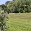 keine.ahnung22739