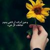 noor79897