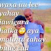 dhaafiyegmail.com