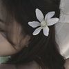 jeyiii.4