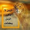 user7780332926380