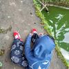 mhdc_arga2