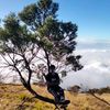 baru_merdeka2