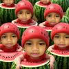 fl4weries_lin