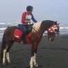 atiha.mas