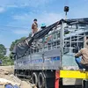 khanhhuy036_20