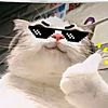 skillorinocheat_32