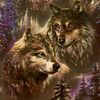 abdul.aldaher3
