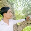 shafique.ahmed401
