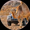 farazhamad07