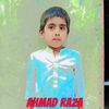 iqbal.zafar87