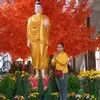 mydung84tv