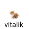 vitalik133775