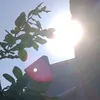 nha_zz00