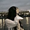 noirsoul_yy