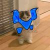 swap.sans404
