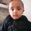 yasir.shah288