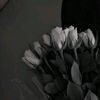 01.20.035