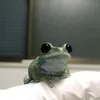 idobeverytimely