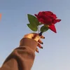 zn_45_13