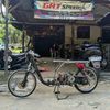 paus darat