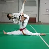 taekwondo2011