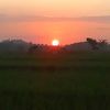 adit.husein4