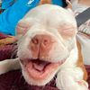 barkbark0123