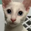 iwishiwillnotbebanned