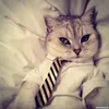 dmytro.hlyva