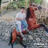 user8153472037380