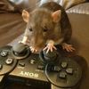 slipperysimon7