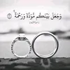 user8461473102016