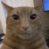 unpocodetodoclips0