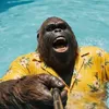 bigfoot.spricht.klartext