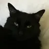 eskoandhisblob