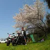bo.ct18