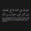 user815657371